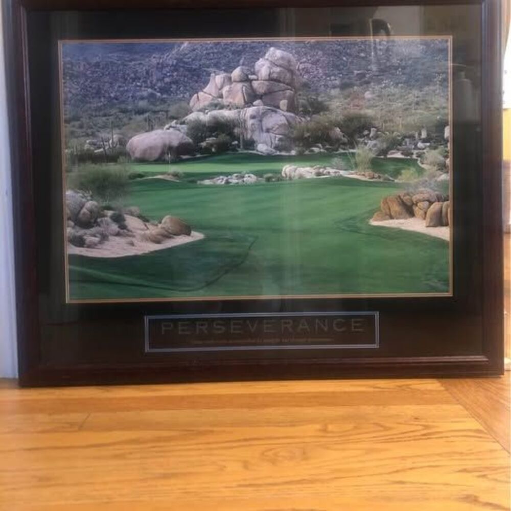 Framed Golf Print